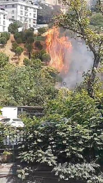Kağıthanede ağaçlık alanda yangın; polis itfaiye hortumuyla, çevredekiler damacanayla müdahale etti