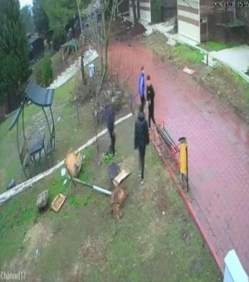 Adana’da çocuklar parktaki kuş yuvasını parçaladı: o anlar kamerada