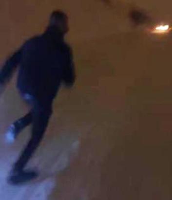 Görüntülemek istedikleri kurdun saldırısından araçlarına binerek kurtuldular