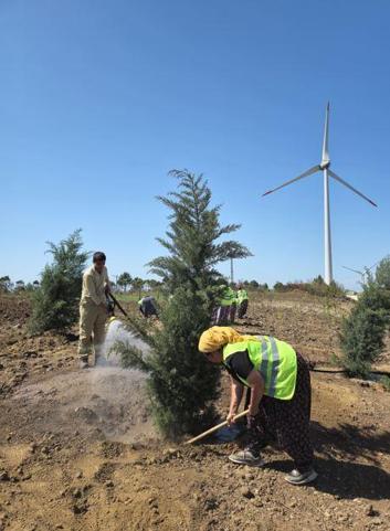 Çanakkalede 100 bin fidanlık bakanlık hatıra ormanı