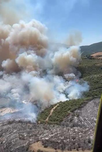 Bursa Yenişehir’de çıkan orman yangını kontrol altında