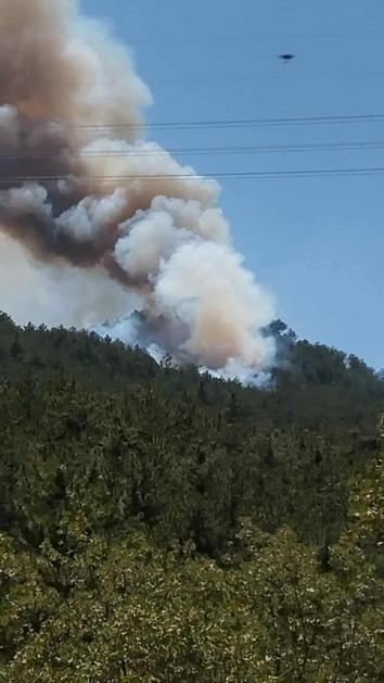 Boluda çıkan orman yangını kontrol altında