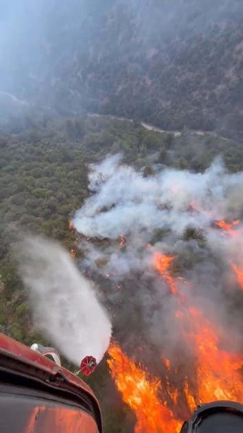 Balıkesirdeki orman yangını; takviye ekipler sevk edildi