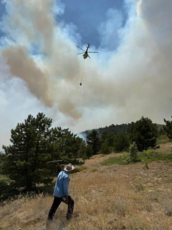 Konyada orman yangını