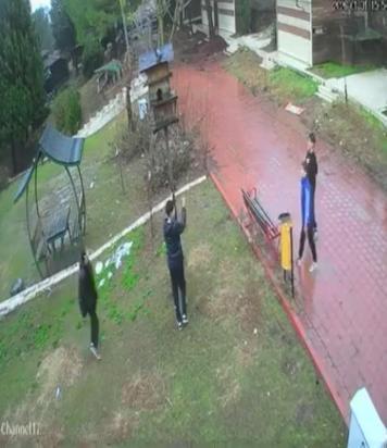 Adana’da çocuklar parktaki kuş yuvasını parçaladı: o anlar kamerada