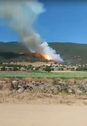 Bursada çıkan orman yangını kontrol altında