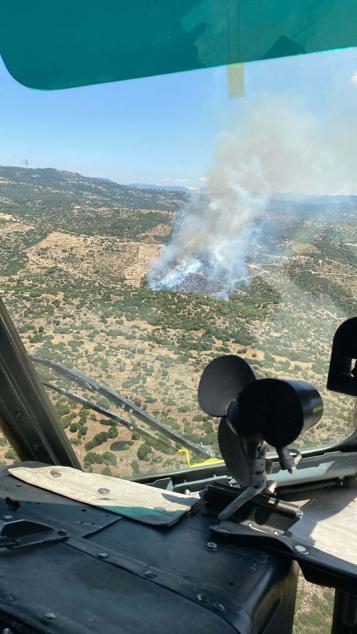 Aydında tarım arazisi ile maki yangını kontrol altına alındı