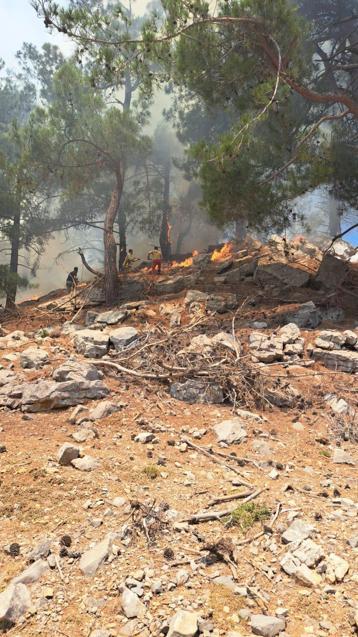 Adanada orman yangını