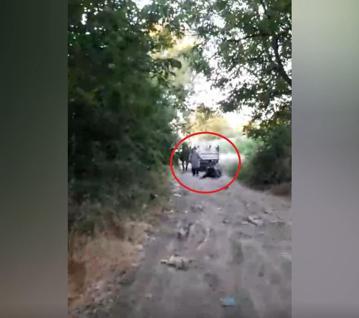 İneği kamyonetin arkasına bağlayıp sürükledi; o anlar kamerada