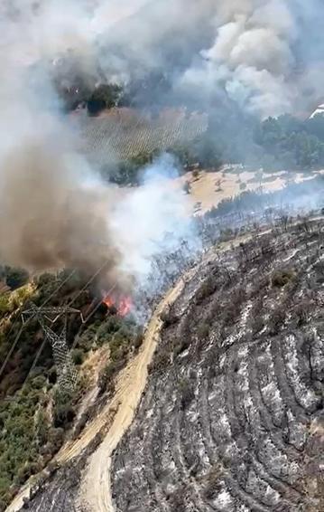 Bursa Yenişehir’de çıkan orman yangını kontrol altında