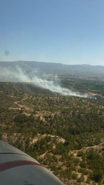 Mersinde çıkan orman yangını kontrol altına alındı