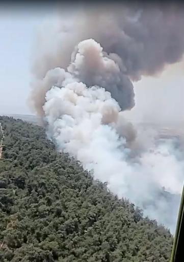İzmirde çıkan orman yangını kontrol altında; 4 gözaltı