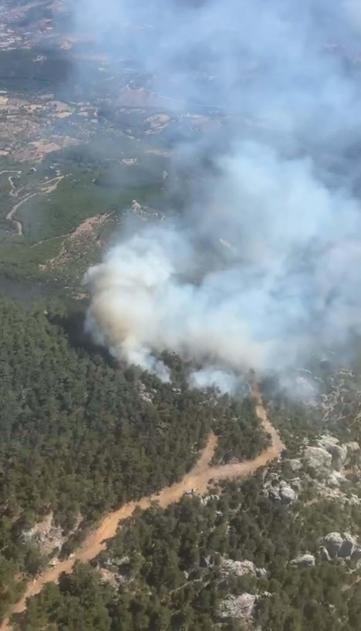 Bergamadaki orman yangını 2nci gününde