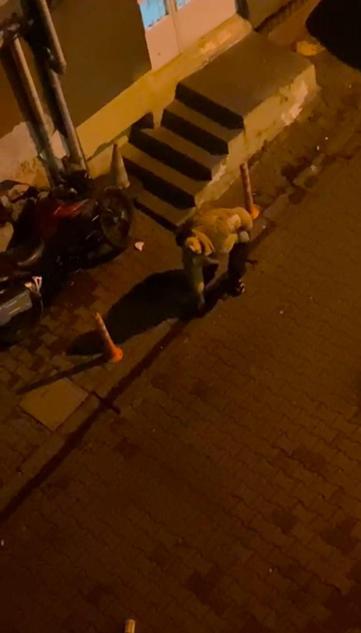 Kağıthane’de eski sevgilisini darbetti, serbest kaldı kapısına dayandı