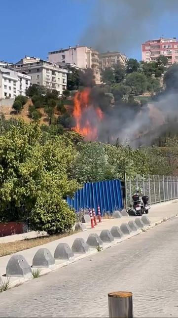 Kağıthanede ağaçlık alanda yangın; polis itfaiye hortumuyla, çevredekiler damacanayla müdahale etti