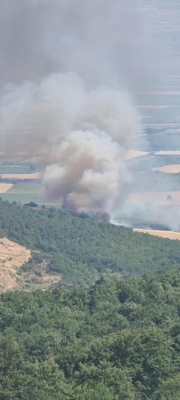 Bursada çıkan orman yangını kontrol altında