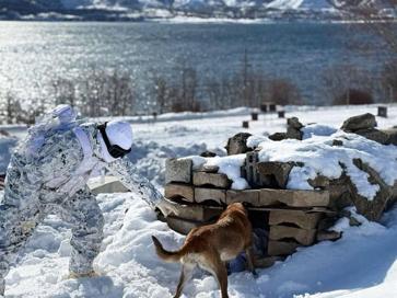 Mehmetçikten derin karda köpekli arama eğitimi