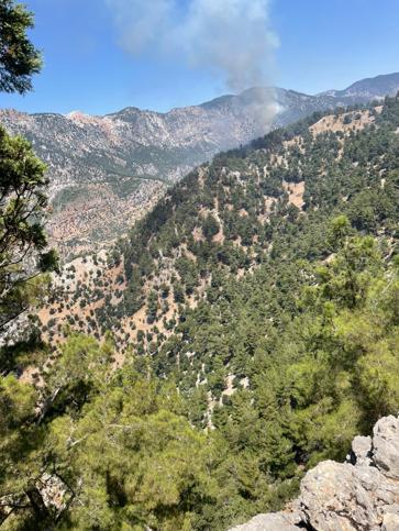 Adanada orman yangını