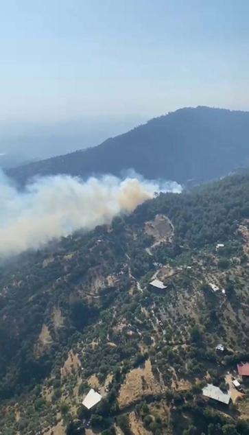 Aydında orman yangını