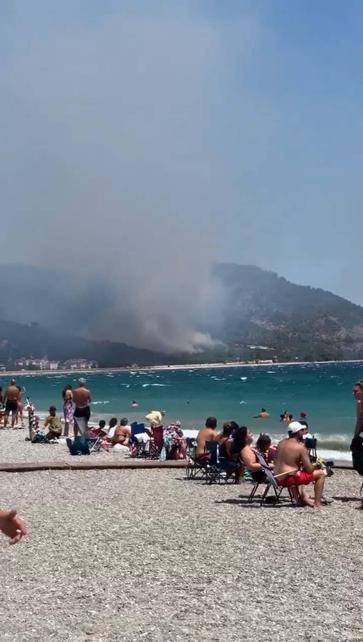Balıkesirde orman yangını
