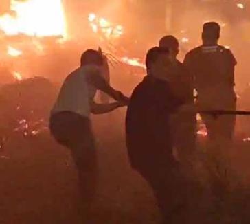 Havai fişek ormanı yaktı; düğündekiler tahliye edildi