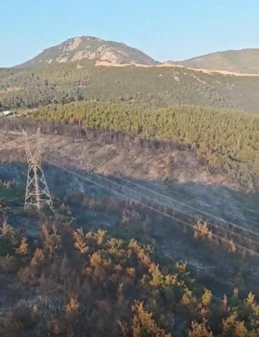 Manisadaki orman yangını 2nci gününde kontrol altına alındı