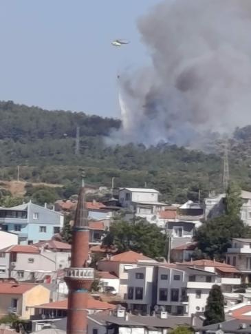 İzmirde orman yangını