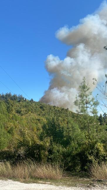 Osmaniyede orman yangını kontrol altına alındı