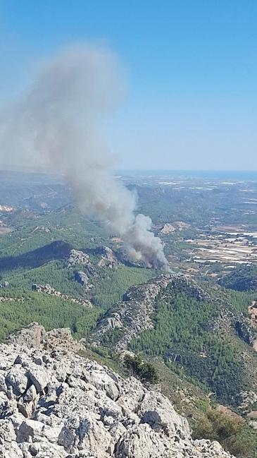 Serikteki orman yangını kontrol altında