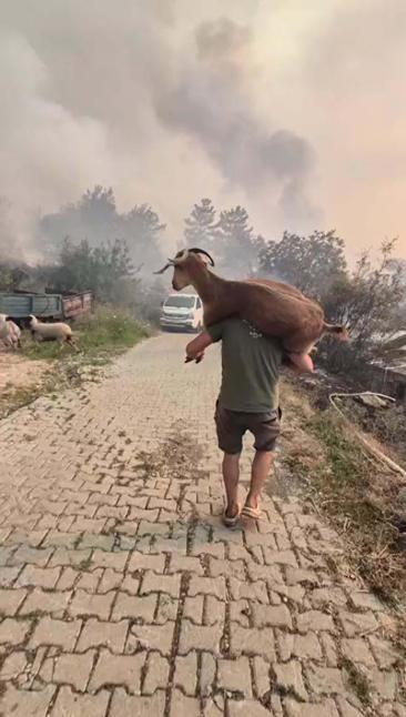 Muğla Seydikemer’deki orman yangınına havadan müdahale yeniden başladı