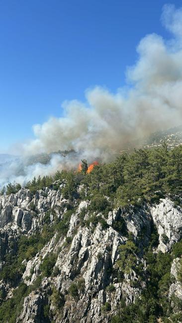 Milasta çıkan orman yangını kontrol altında