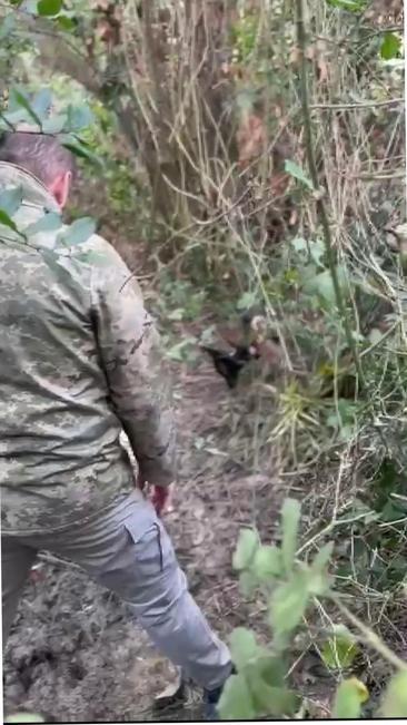 Eyüpsultanda miras için anneannesini öldüren torun cinayeti itiraf etti