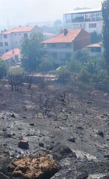 Balıkesirde orman yangını