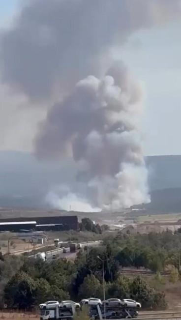 Bursa’da orman yangını