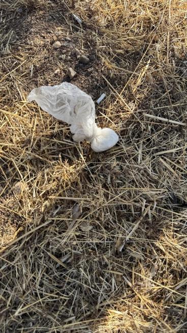 Otomobiliyle polise çarpıp kaçan avukatın attığı paketten uyuşturucu çıktı