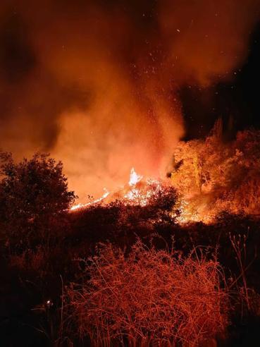 5 saatte söndürülen yangında 150 dönüm orman yandı