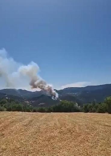 Boluda çıkan orman yangını kontrol altında