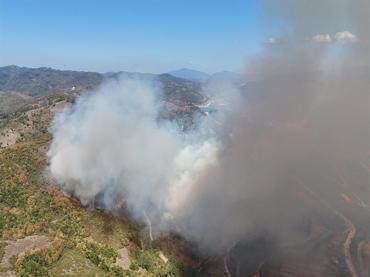 Düzcede orman yangını kontrol altında