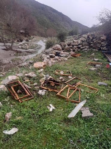 Yaylaya inen ayı, arı kovanlarını parçaladı