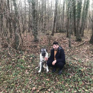 Büyükçekmecede otomobil bariyerlere çarptı: 2 ölü