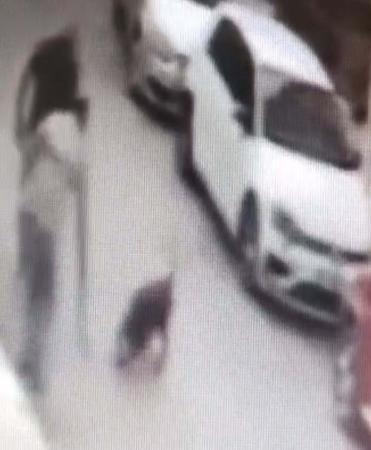 Sokak köpeğine kemerle vuran şüpheli gözaltında