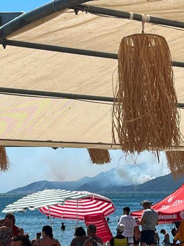 Yalova’da orman yangını