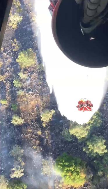 Balıkesirdeki orman yangınında 5 gözaltı