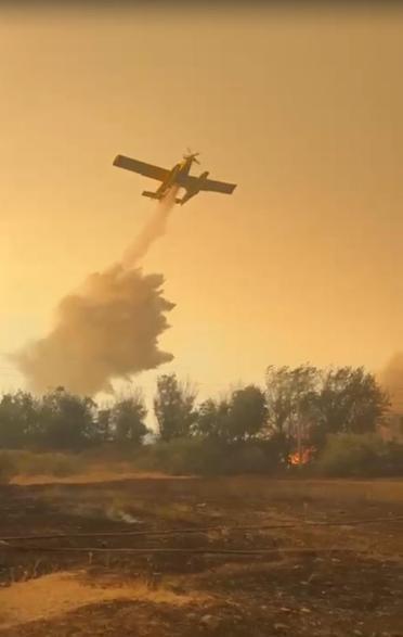 Muğla Milasdaki yangın Aydına sıçradı