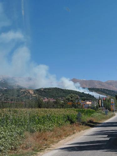 İzmirde orman yangını