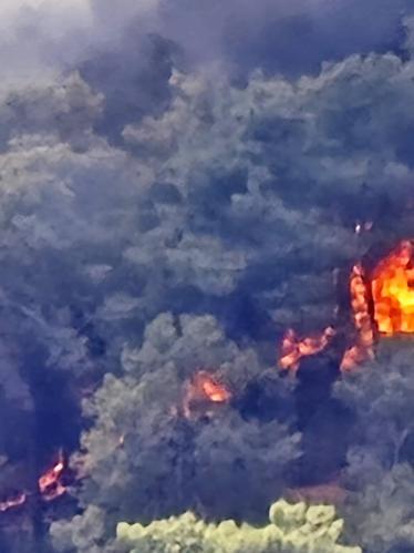 Antalyada çıkan orman yangını kontrol altında