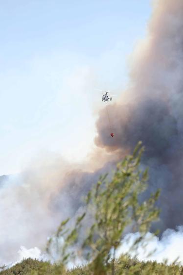 Sakaryada çıkıp Bilecike sıçrayan orman yangını 2nci gününde