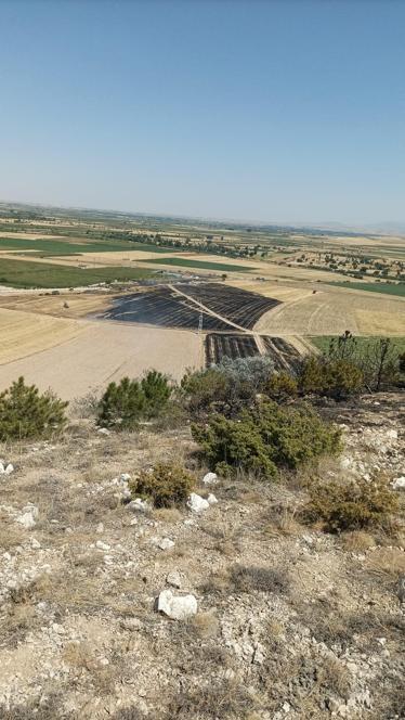 Anız yangınında alevler ormana sıçradı