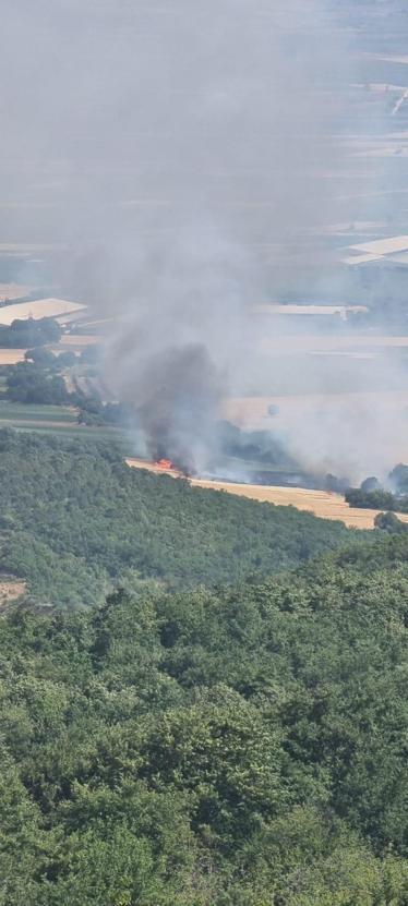 Bursada çıkan orman yangını kontrol altında