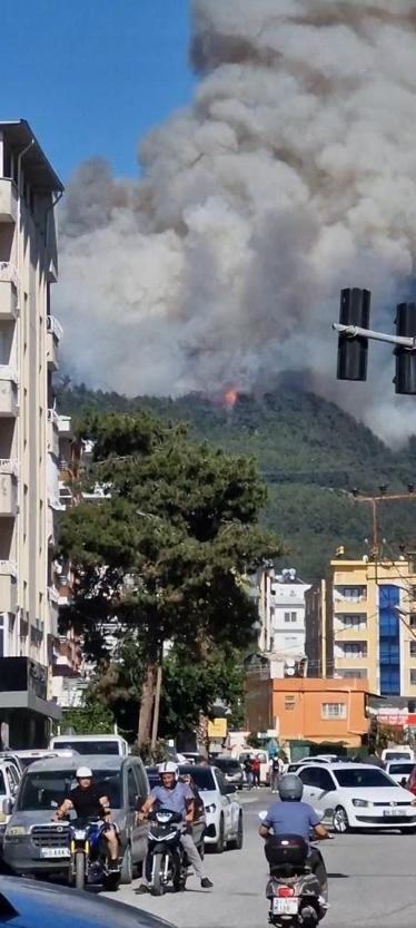 Hatayda orman yangını